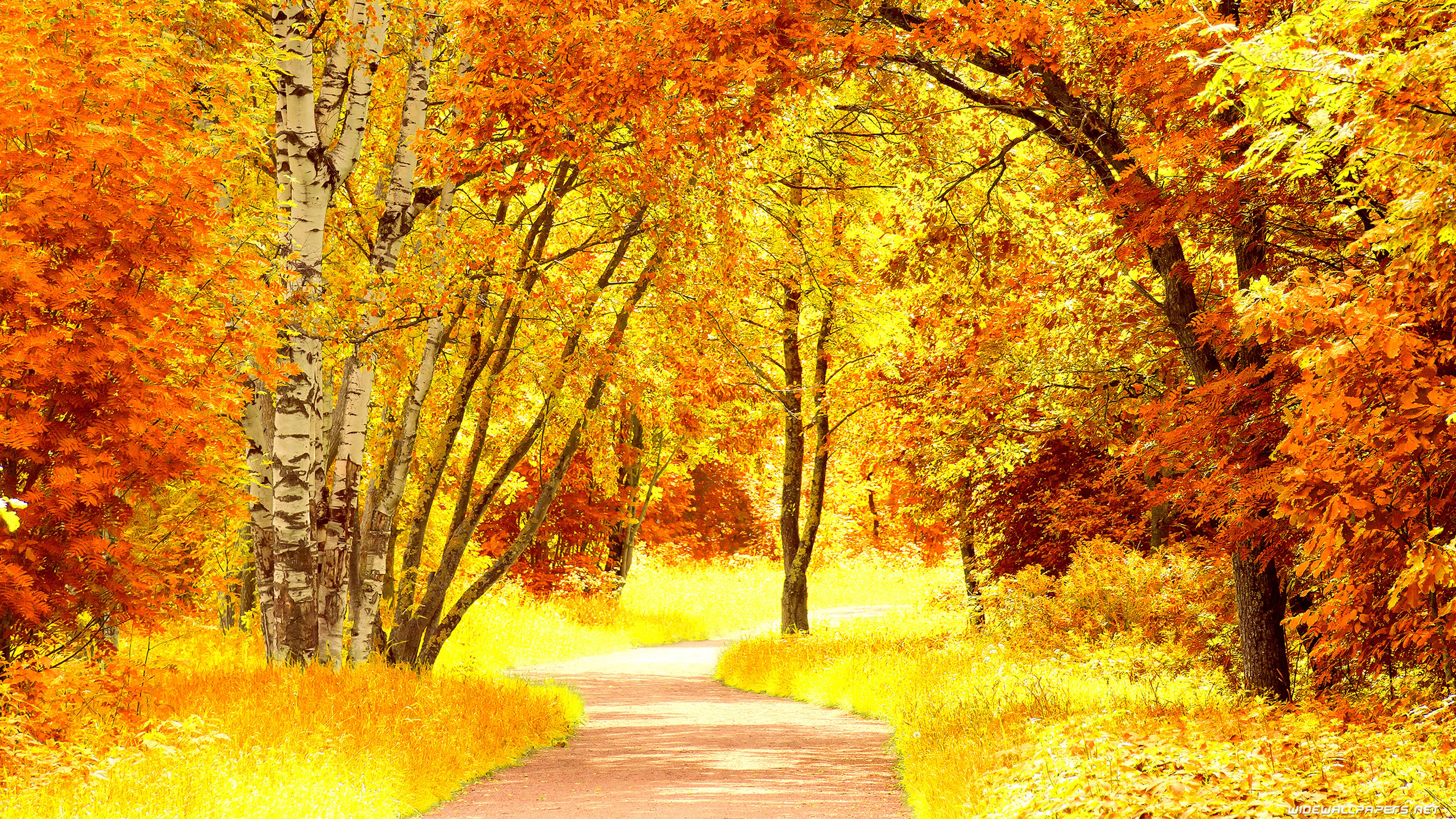 Autumn desktop wallpapers 4K Ultra HD